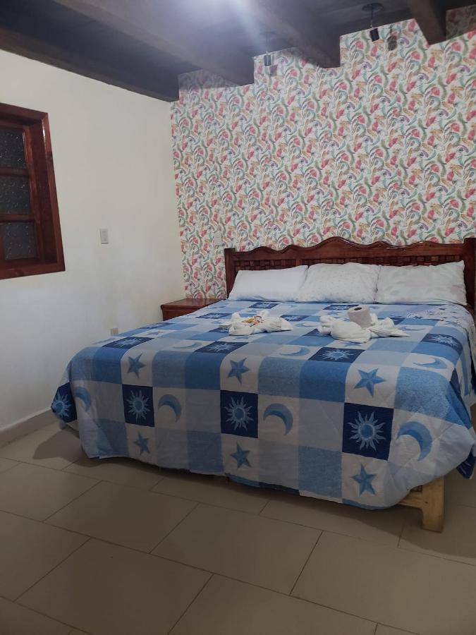 Hotel Arcos Del Carmen San Cristóbal de Las Casas Eksteriør bilde